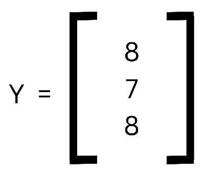 Matrix Y with the Neural Network outputs.